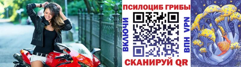 Псилоцибиновые грибы мицелий  Тихвин 